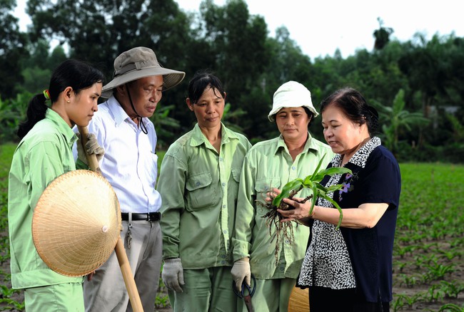 Tại vườn trồng thảo dược của công ty Thiên Dược. Ảnh: Phan Quang/Forbes Việt Nam.